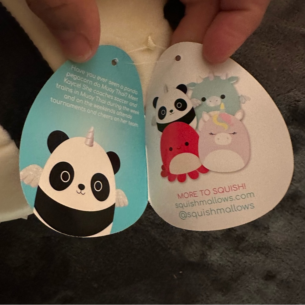Squishmallows Panda Small Kayce - Picture 4 of 5